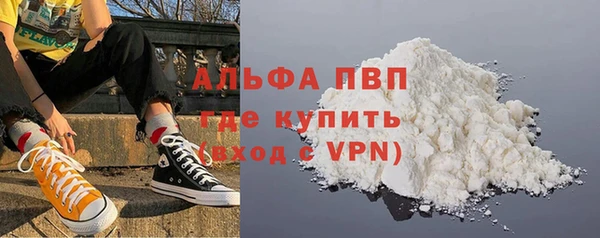 сатива Верея