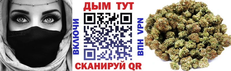 Бошки Шишки ГИДРОПОН  Ельня 